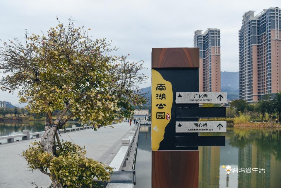 旅游美食地图：轻松规划全球美味路线，让旅行觅食更快乐