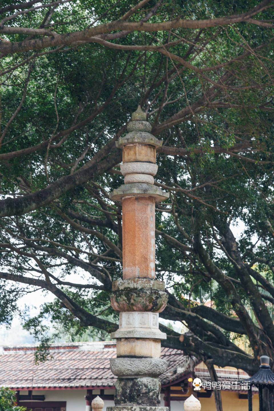 旅游美食地图：轻松规划全球美味路线，让旅行觅食更快乐