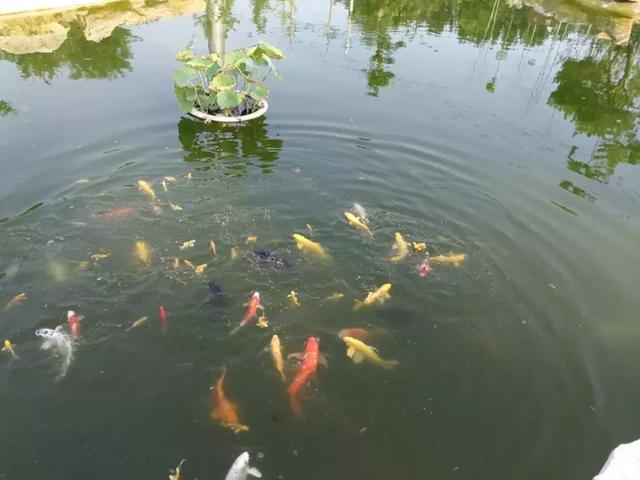 中国美食旅游地推荐：用味蕾解锁各地文化密码，开启舌尖上的快乐旅程