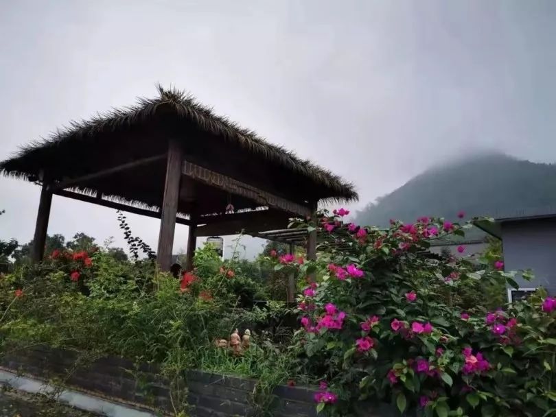 杭州旅游必去景点攻略：轻松规划完美行程，避开人潮玩转西湖灵隐寺