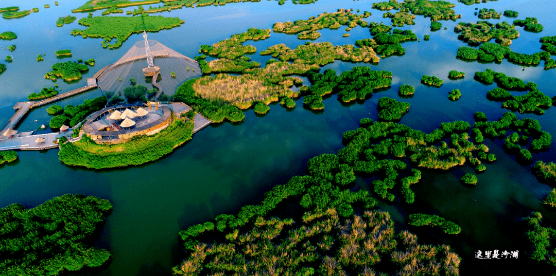 杭州旅游自由行攻略：轻松规划完美行程，避开拥挤玩转西湖