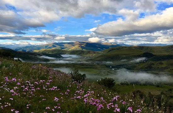 四川美食攻略自由行：从成都街头到川西秘境，一站式解锁麻辣鲜香的味蕾冒险